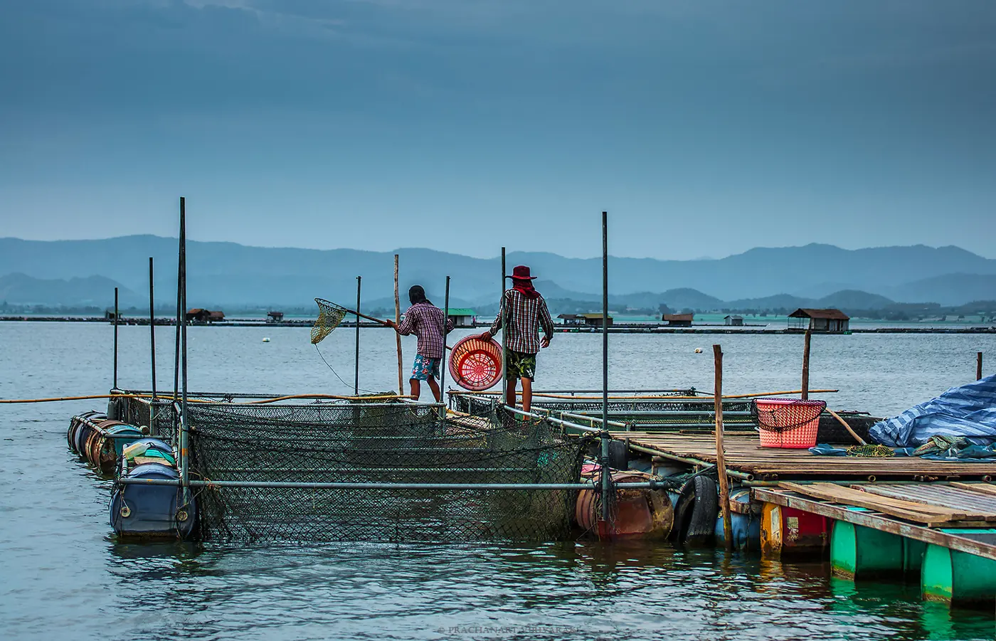 Aquaculture production ponds